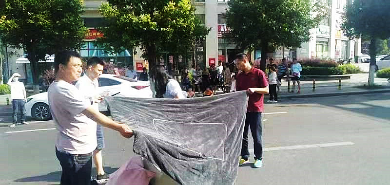 點(diǎn)贊｜烈日下行人被撞倒地，熱心公交人全程守護(hù)